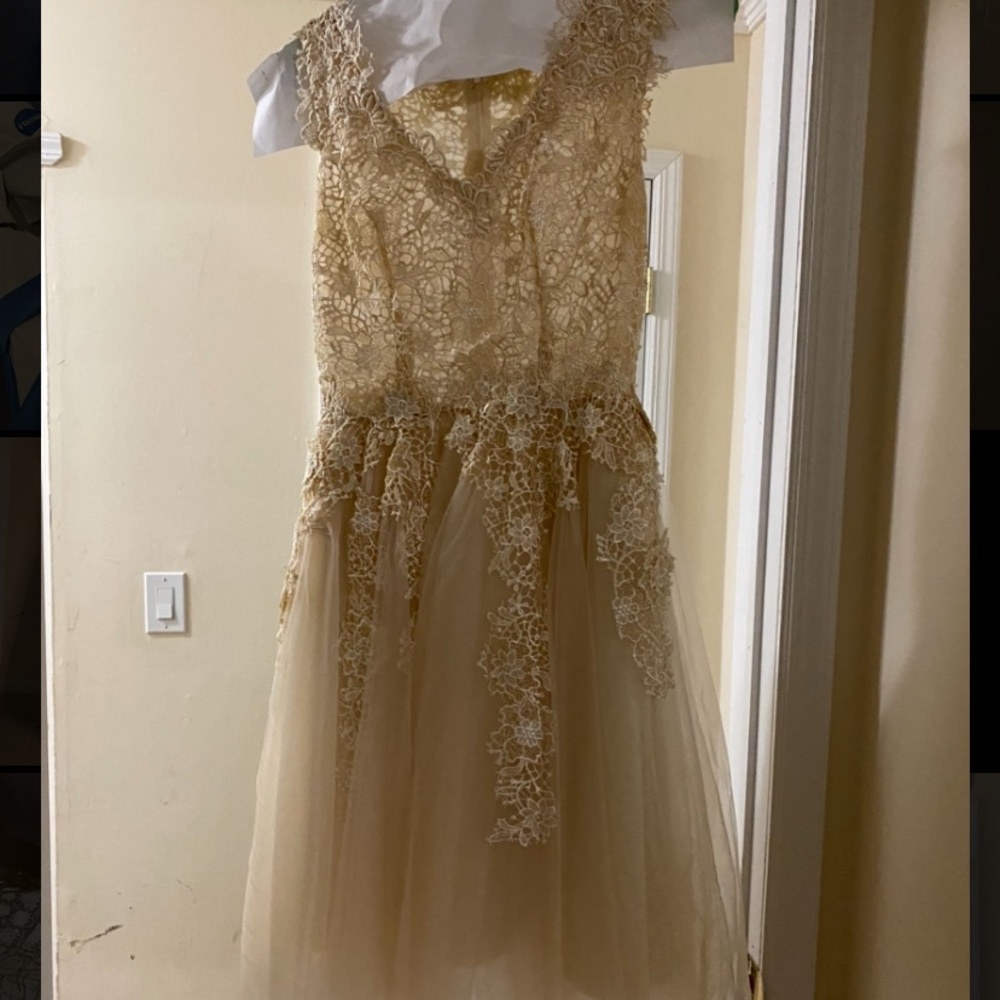 Nude Lace/Tulle Dress